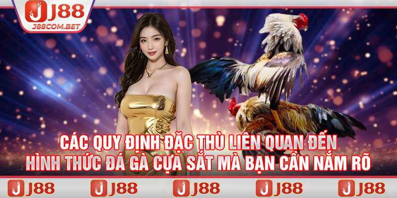 Các quy định đặc thù liên quan đến hình thức đá gà cựa sắt mà bạn cần nắm rõ