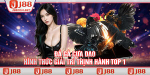 Đá Gà Cựa Dao - Hình Thức Giải Trí Thịnh Hành Top 1