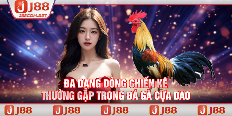 Đa dạng dòng chiến kê thường gặp trong đá gà cựa dao