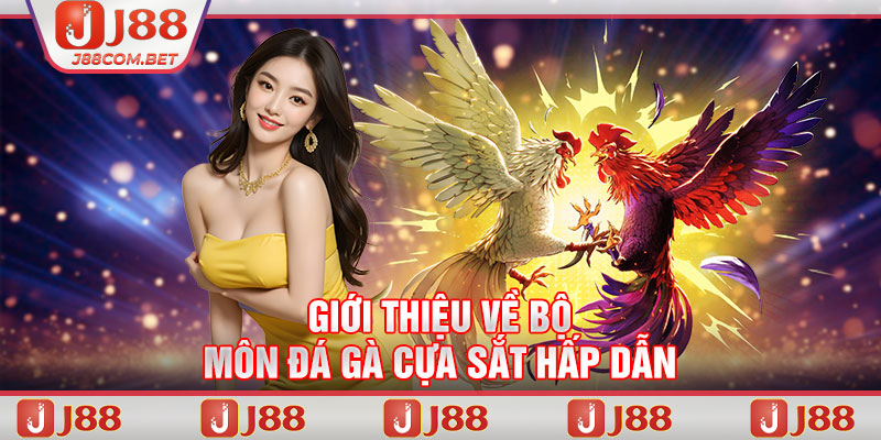 Giới thiệu về bộ môn đá gà cựa sắt hấp dẫn