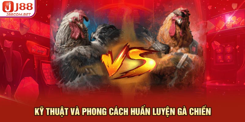 Kỹ thuật và phong cách huấn luyện gà chiến