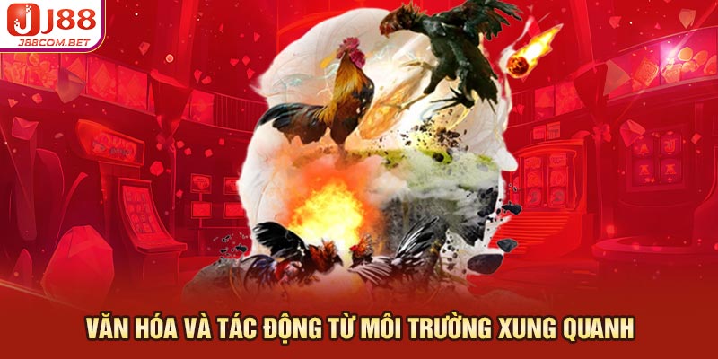 đá gà miền nam và Văn hóa tác động từ môi trường xung quanh